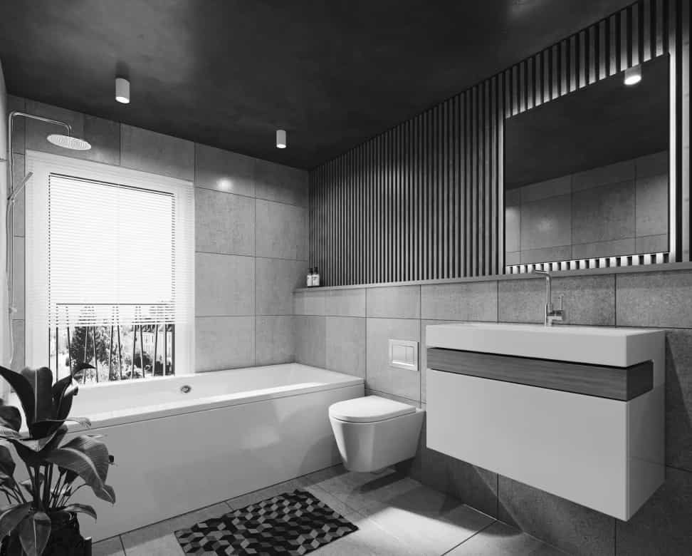 Bathroom Expansion