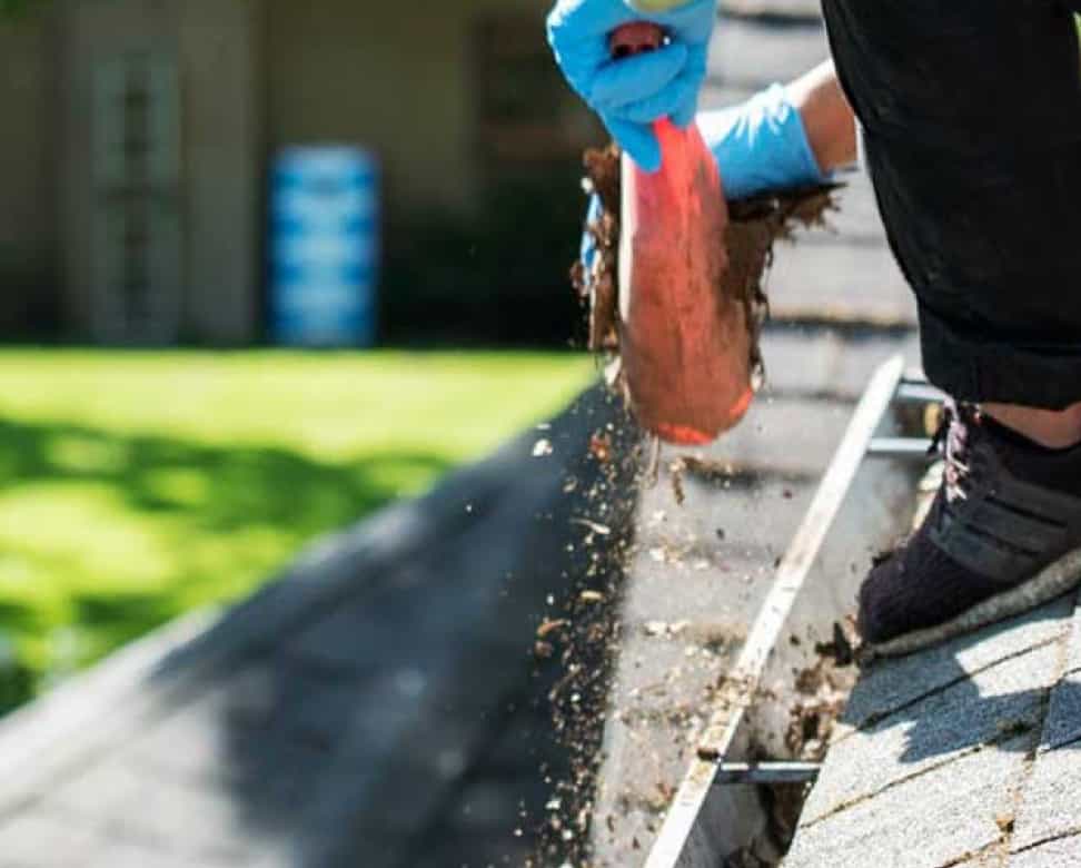 Gutter Cleaning