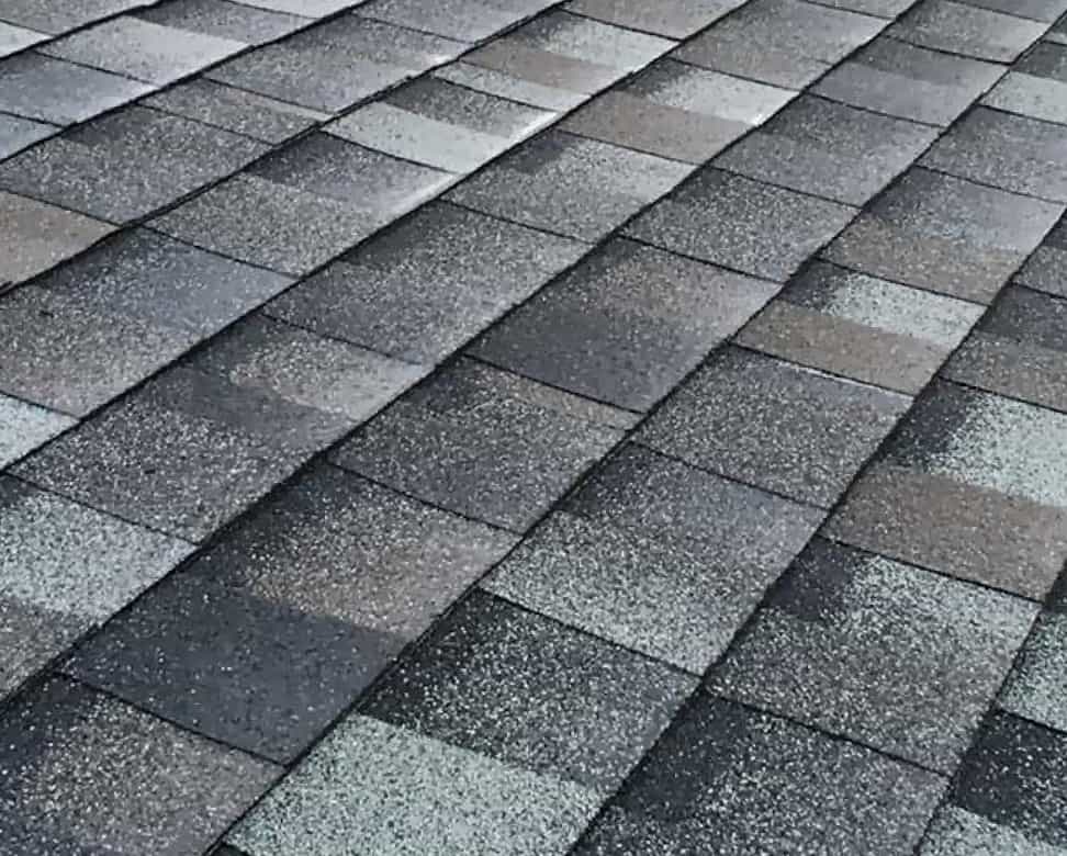 Shingles Roof
